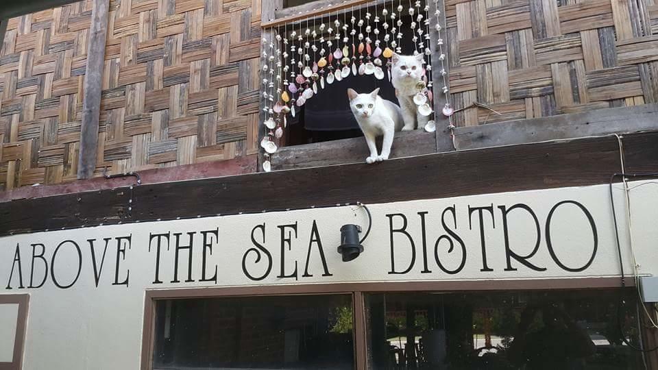 Hotel Above The Sea Maesariang Mae Sariang Exterior foto